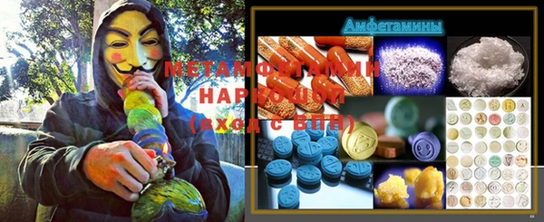 крисы Медвежьегорск